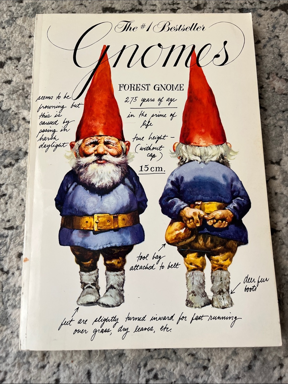 Gnomes softcover by rien pourtvliet